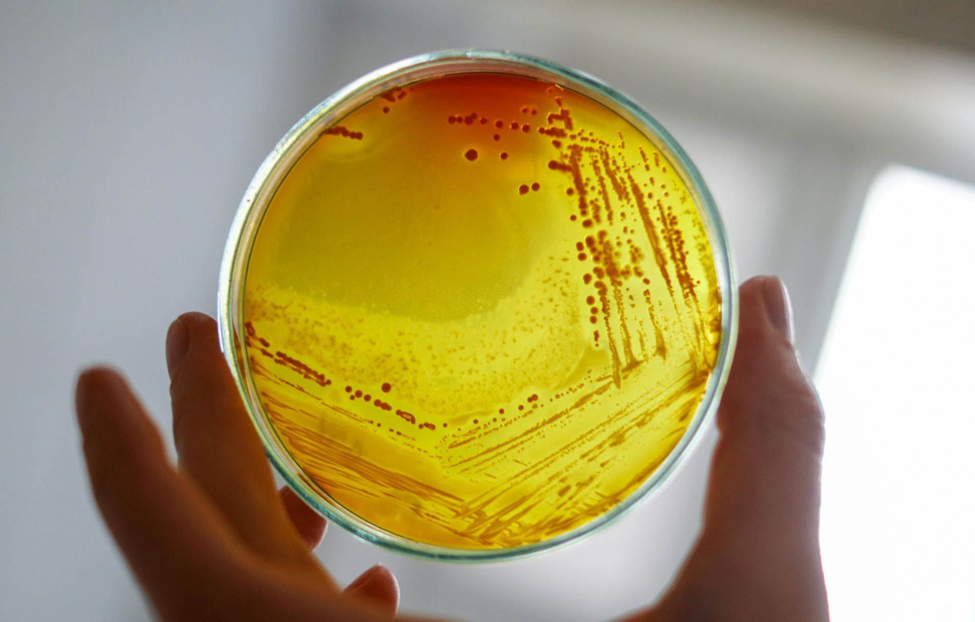 Bioinsumos de Nunatak en Expoagro en espacio Agtech